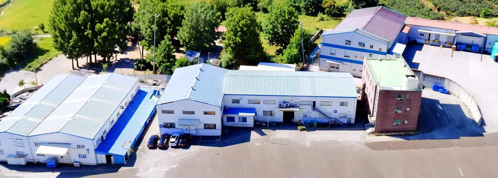 Jintec Factory landscap